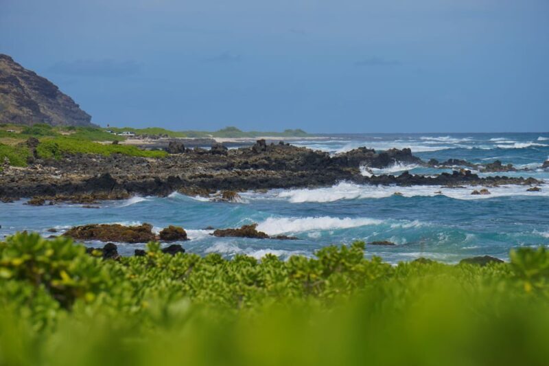 Oahu: Private Tour-Circle Island-Customizable - Why Consider a Private Customizable Tour?