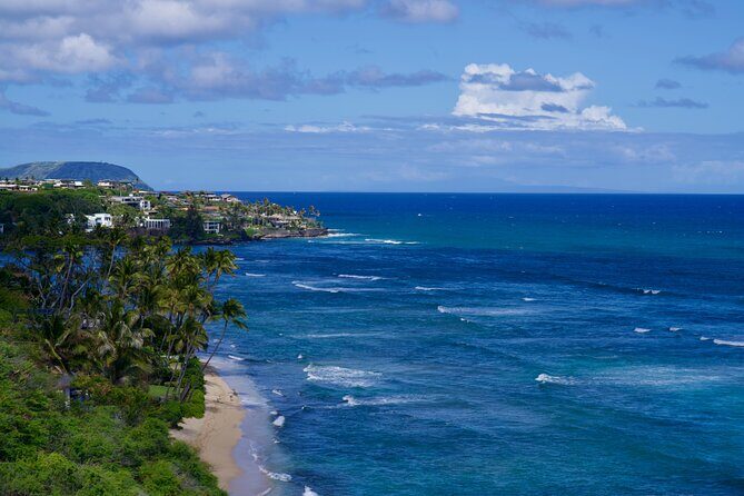 Oahu Private Tour-Full or Half Day-Customizable - Final Thoughts