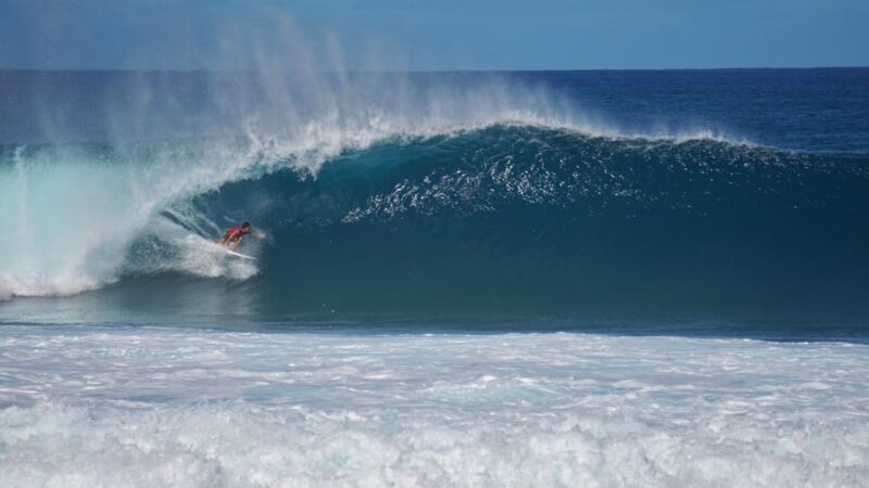 Oahu: Private Tour-North Shore feat. Waimea Falls - What’s Included and What’s Not?