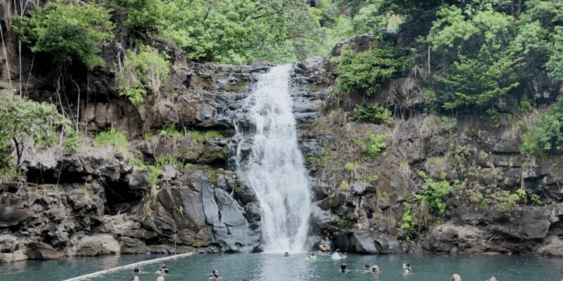 Oahu: Private Tour-North Shore feat. Waimea Falls - Final Thoughts: Is This Tour Worth It?