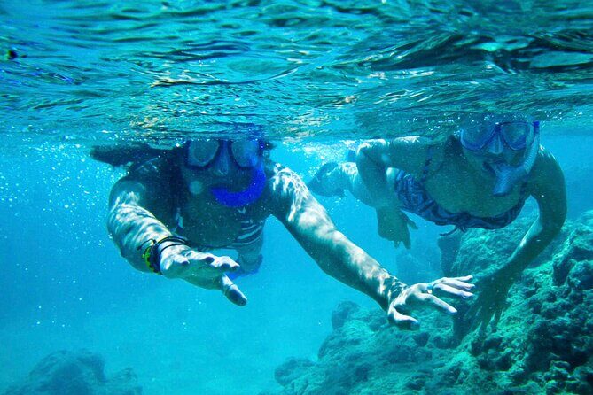 Oahu Private Tour North Shore, Waimea Falls and Dole Plantation - FAQ