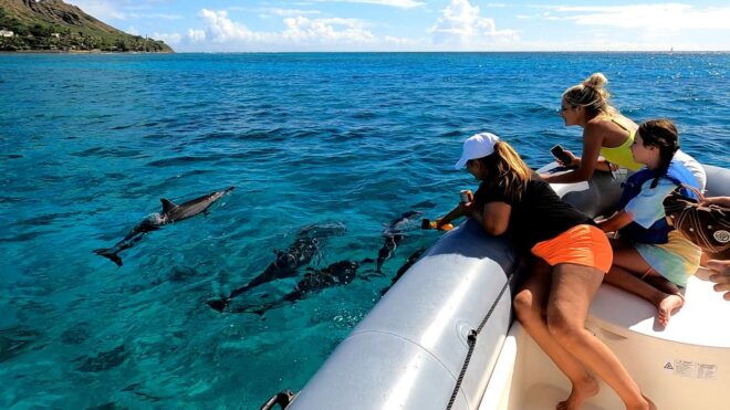Oahu: Private Whale Watching Adventure - Common Questions