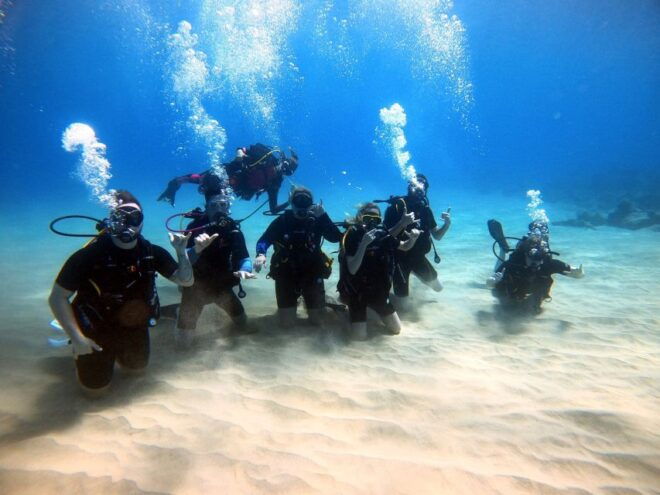 Oahu: Scuba Diving Lesson for Beginners - Safety and Gear