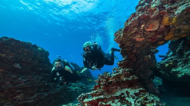 Oahu: Shallow Reef Scuba Dive for Certified Divers - Directions
