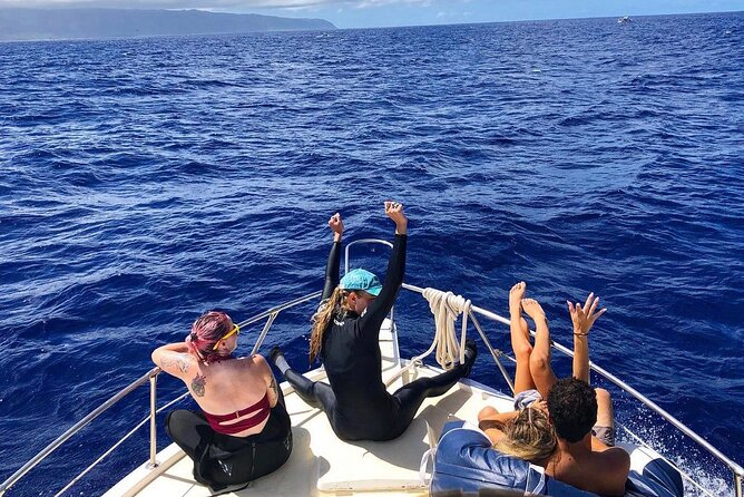 Oahu Shark Dive (No Cage) - The Sum Up