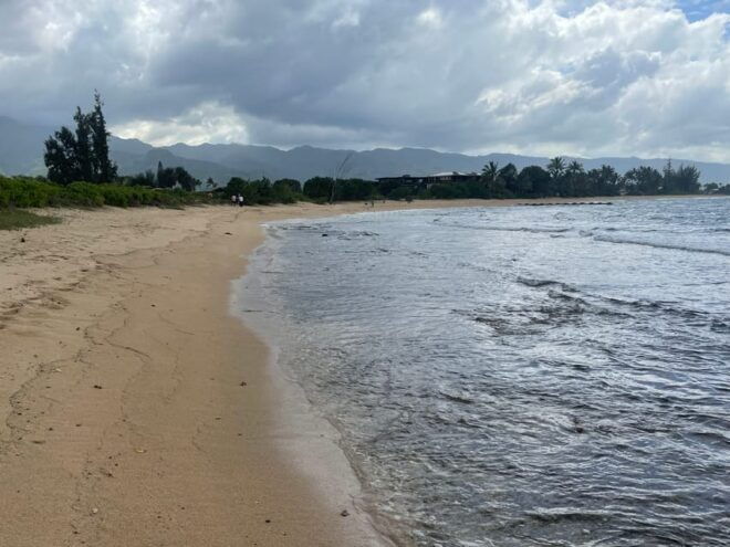 Oahu: Shoreline Restoration Tour W/ Native Plants & Animals - Farm Animal Interaction
