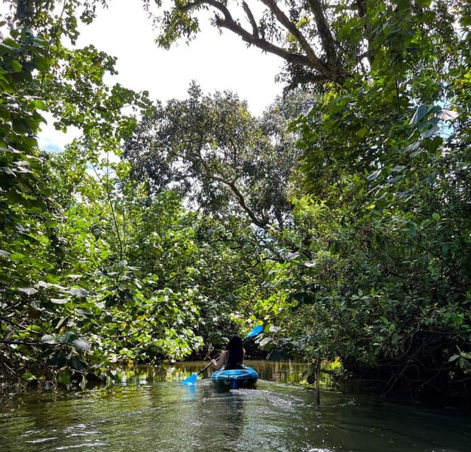 Oahu: Single & Double Kayak 3-Hour River Rental - Good To Know
