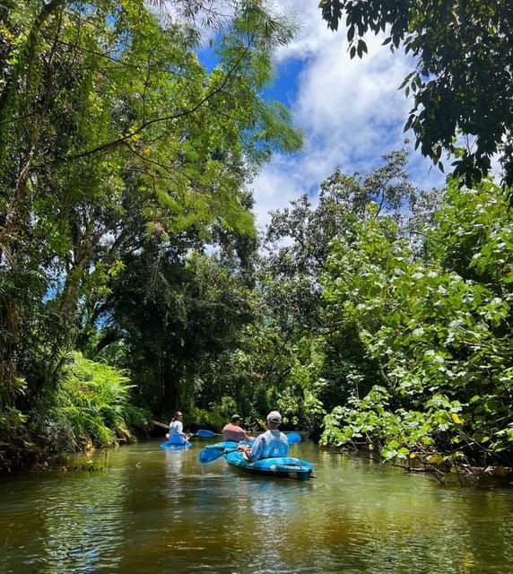 Oahu: Single & Double Kayak 3-Hour River Rental - Kayak Design Features