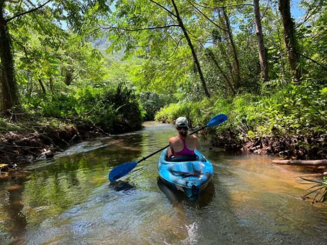 Oahu: Single & Double Kayak 3-Hour River Rental - River and Bay Exploration