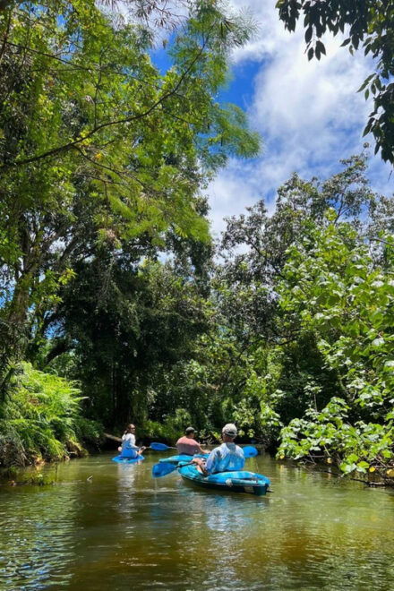 Oahu: Single & Double Kayak 3-Hour River Rental - Booking Flexibility and Cancellation Policy