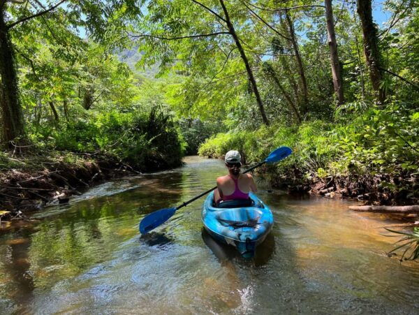 Oahu: Single & Double Kayak 3-Hour River Rental - Frequently Asked Questions