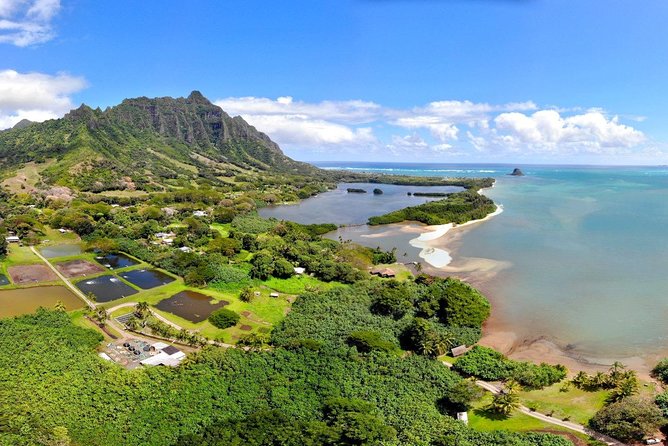 Oahu: Small-Group Circle-Island Tour With Pickup - Honolulu - Additional Information
