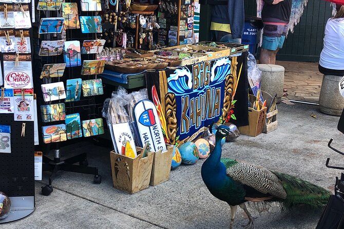 Oahu Small-Group Tour  - Honolulu - Overview and Tour Details