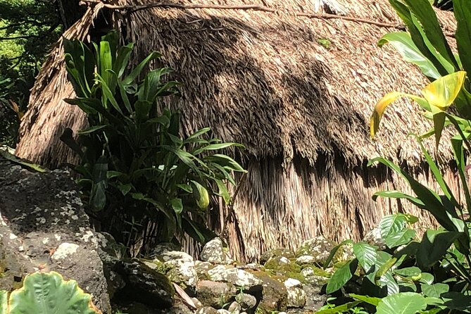 Oahu Small-Group Tour  - Honolulu - Cancellation Policy