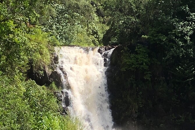 Oahu Small-Group Tour  - Honolulu - Tour Highlights and Itinerary