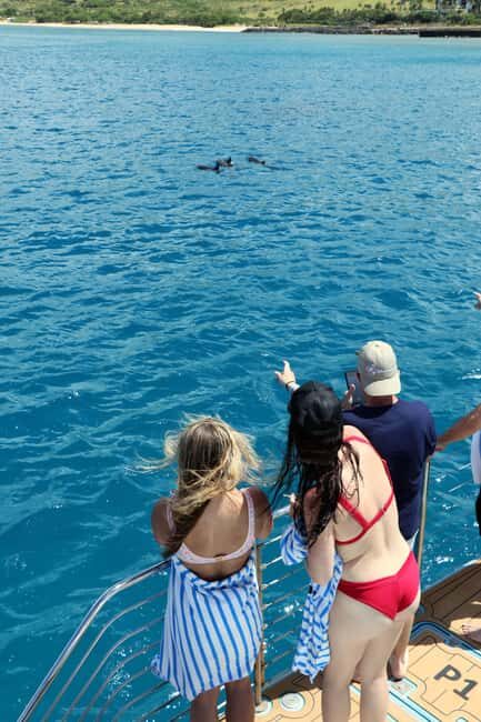 Oahu: Snorkeling & Dolphin Watch Cruise w/ Luau Style Buffet - The Itinerary: What You Can Expect on the Water