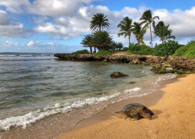 Oahu: Sunrise & Full-Day Island Photo Tour With Small Group - Exploring the North Shore