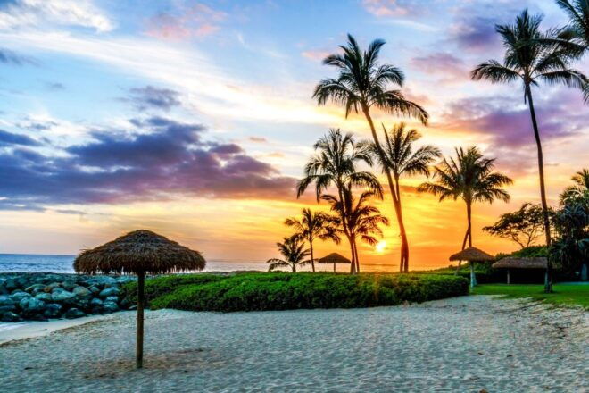 Oahu: Sunset Cruise of West Oahu With Drinks and Appetizers - Shuttle Service From Ko Olina