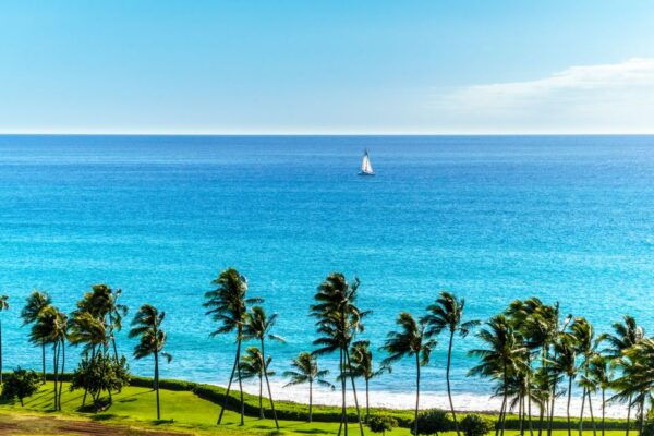 Oahu: Sunset Cruise of West Oahu With Drinks and Appetizers - Directions