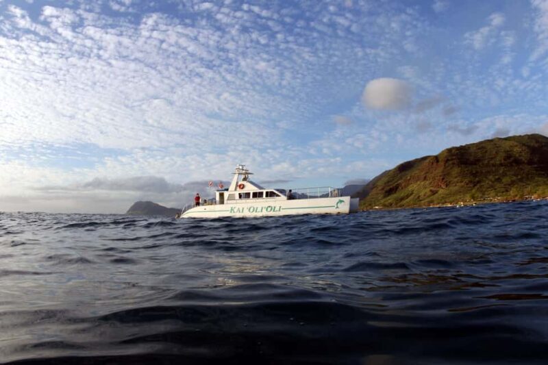 Oahu: Sunset Snorkeling, Dolphin Watch Cruise, Hawaiian meal - FAQ