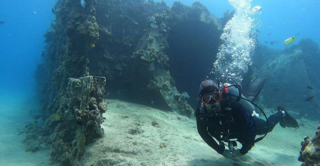 Oahu: Try Scuba Diving From Shore - Full Description