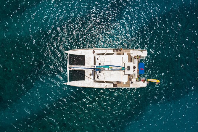 Oahu Turtle Canyon Snorkel Catamaran Cruise With Green Turtles - Reasons to Choose This Tour