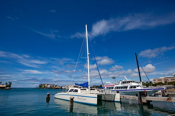 Oahu Turtle Canyon Snorkel Catamaran Cruise With Green Turtles - Water Conditions and Wildlife