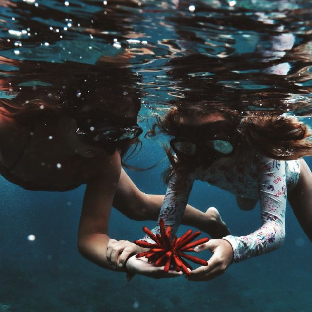 Oahu: Turtle Canyon Snorkeling Boat Tour - Experience Highlights