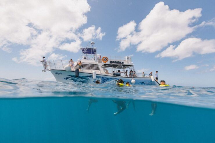 Oahu: Turtle Canyon Snorkeling & Hula Dance - Experience Highlights