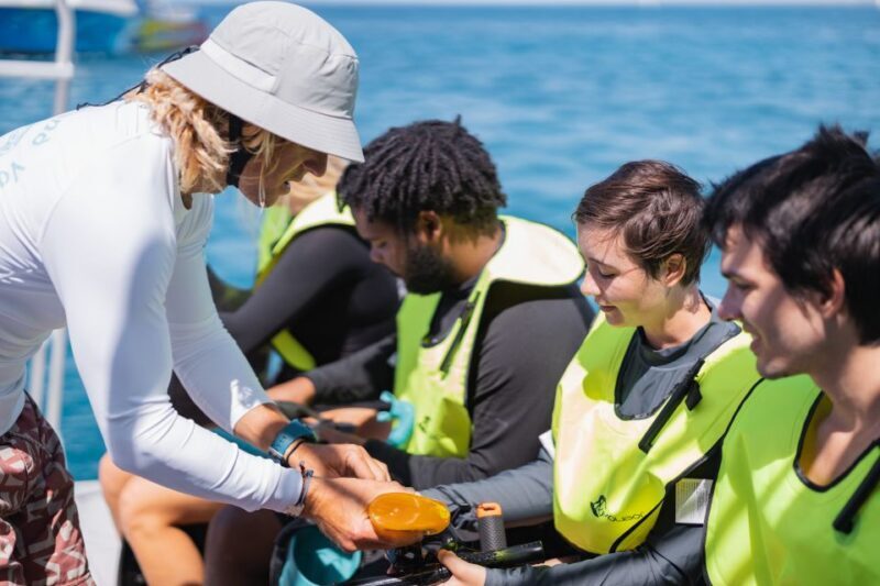 Oahu: Turtle Canyon Snorkeling & Hula Show - Final Thoughts