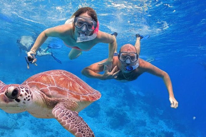 Oahu Ultimate Circle Island Tour Full Day Experience - Top Attractions