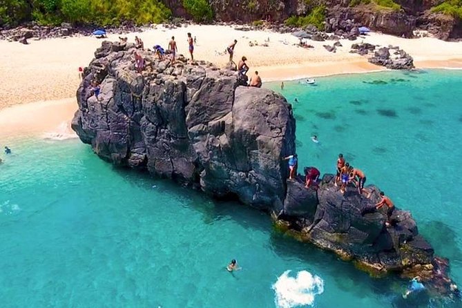 Oahu Ultimate Circle Island Tour Full Day Experience - Swim With Hawaiian Sea Turtles