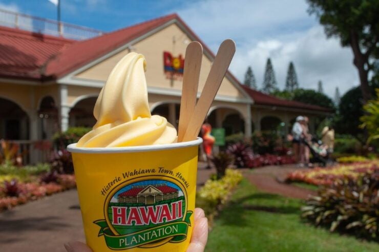 Oahu: Valley of Waimea Falls Swim & Hike With Lunch & Dole - Booking and Cancellation Details