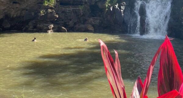 Oahu: Valley of Waimea Falls Swim & Hike With Lunch & Dole - Lunch at Waimea Valley
