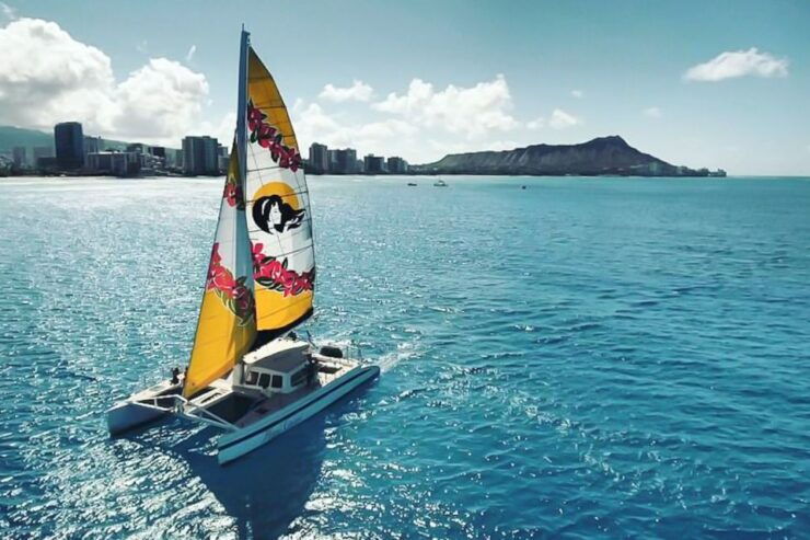 Oahu: Waikiki Beach Eco-Friendly Whale Watching Cruise - Activity Details