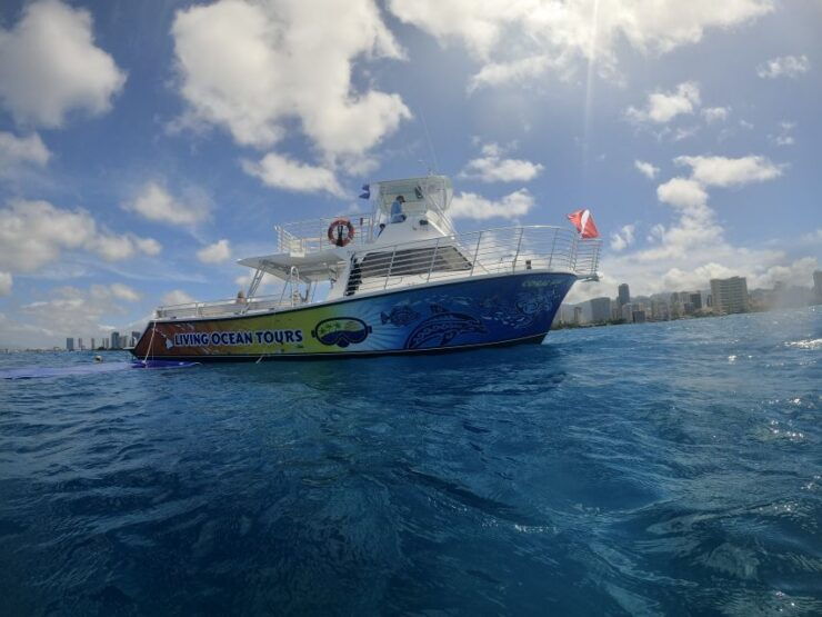 Oahu: Waikiki BYOB Sunset Cruise - Experience Highlights