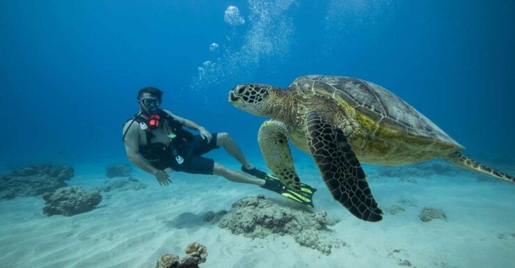 Oahu: Waikiki Discovery Scuba Diving for Beginners - Experience