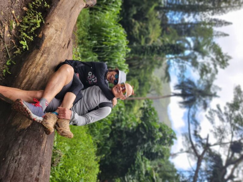 Oahu: Waikiki E-Bike Ride and Manoa Falls Hike - The Sum Up: Who Will Love This Tour?