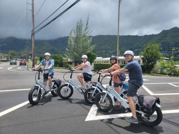 Oahu: Waikiki E-Bike Ride and Manoa Falls Hike - The Sum Up