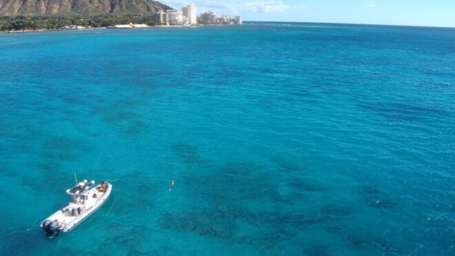Oahu: Waikiki Private Snorkeling and Wildlife Boat Tour - Directions