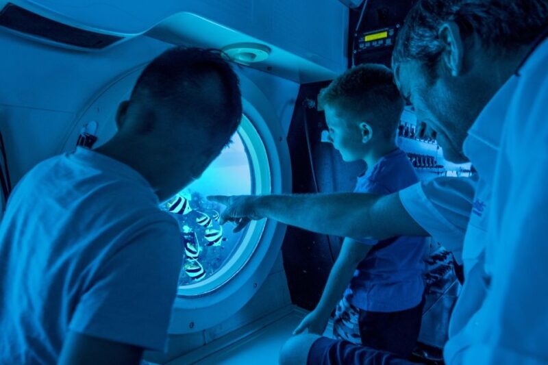 Oahu: Waikiki Submarine Tour - What’s this tour all about?