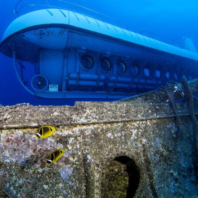 Oahu: Waikiki Submarine Tour - Exploration of Coral, Reef Life, and Sunken Structures