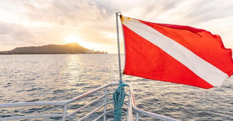 Oahu: Waikiki Turtle Canyons Cruise and Snorkel Excursion - Activity Details