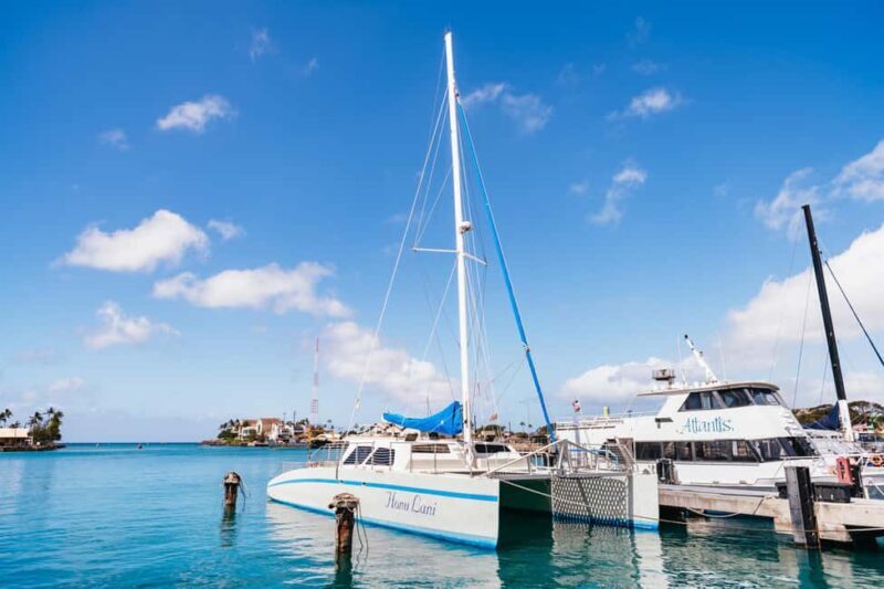 Oahu: Waikiki Turtle Snorkel Sail - Final Thoughts: Who Will Love This Tour?