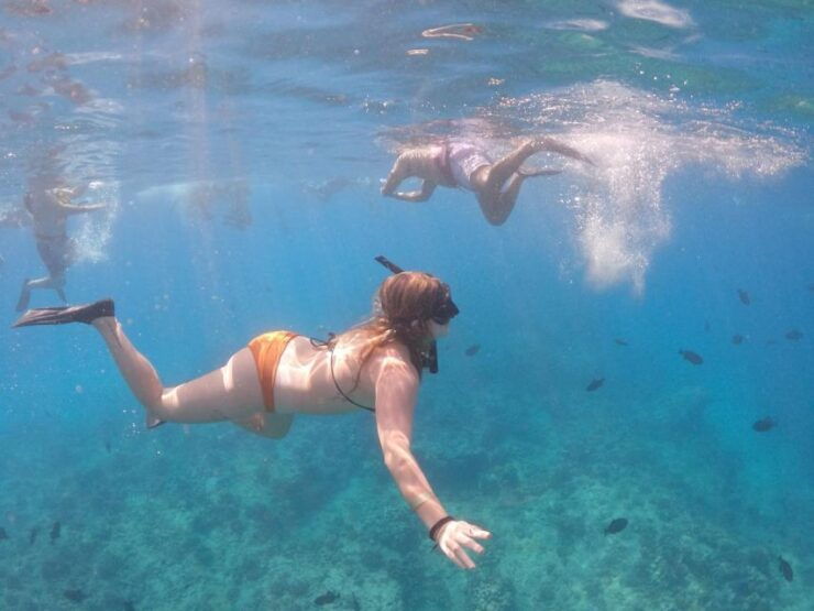Oahu: Waikiki Turtle Snorkeling Adventure Cruise - Activity Details