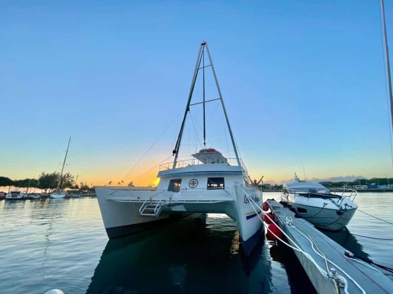 Oahu: Waikiki Whale Watching Cruise - Practical Tips for Your Trip