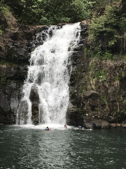 Oahu: Waimea Falls & North Shore Swim With Turtles Beach Day - Surfing the North Shore