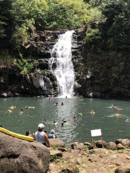 Oahu: Waimea Falls & North Shore Swim With Turtles Beach Day - The Sum Up