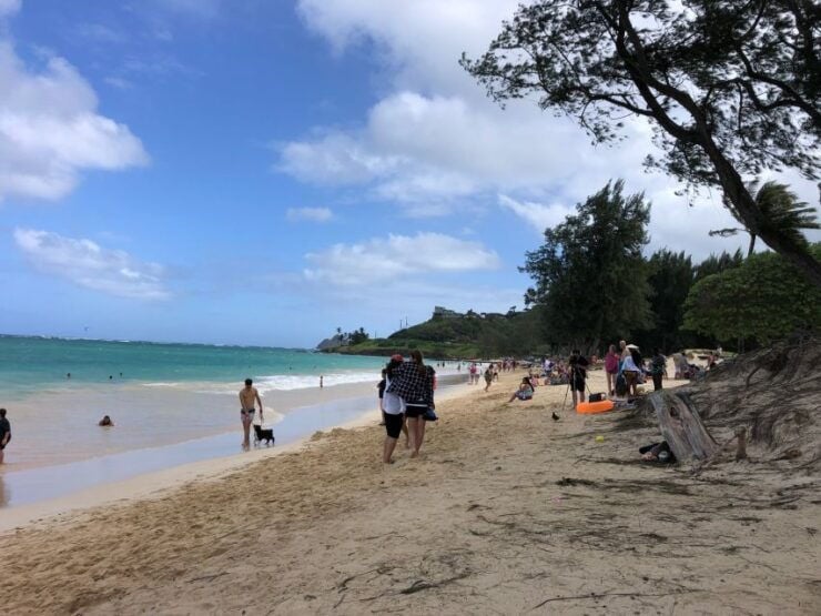 Oahu: Waterfall Hike & East Side Beach Day - Experience and Highlights