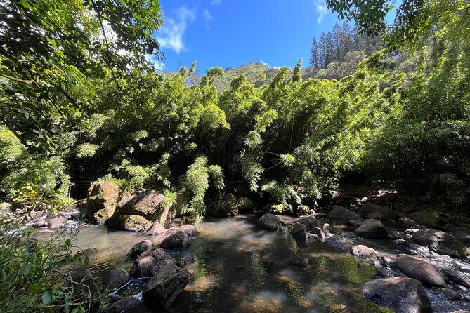 Oahu Waterfall Hike-Garden-Beach Road Trip, Waikiki to Lanikai - A Complete Walkthrough of the Oahu Waterfall, Garden, and Beach Road Trip
